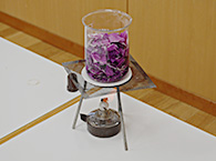 さくら組 キッズラボ Ｈ29.10.19