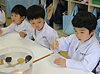 さくら組 キッズラボ Ｈ29.10.19