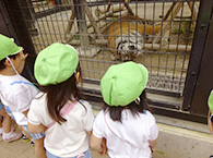 動物園での様子2