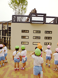 動物園での様子1