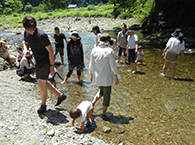 つくし・つぼみ組自然教室の様子1