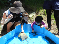 つくし・つぼみ組自然教室の様子5