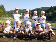 お芋堀りの様子6