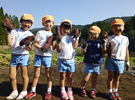 お芋堀りの様子9