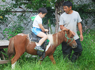 移動動物園の様子3