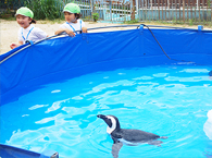 移動動物園の様子4
