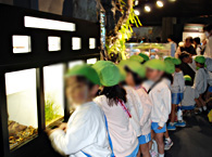 京都水族館での様子