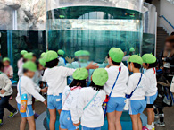 京都水族館での様子