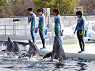 京都水族館での様子