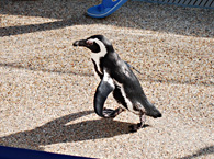 京都水族館での様子